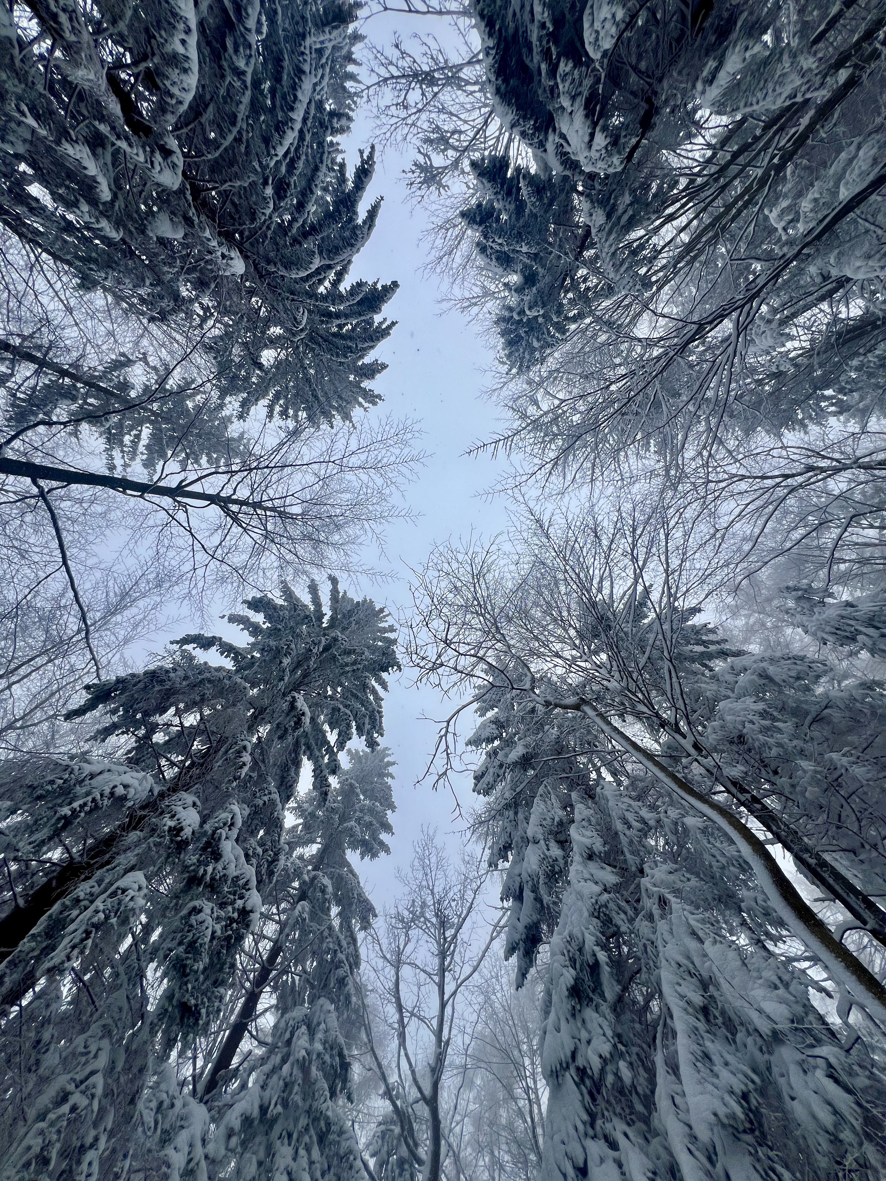 Chata pod Hrbom - 17