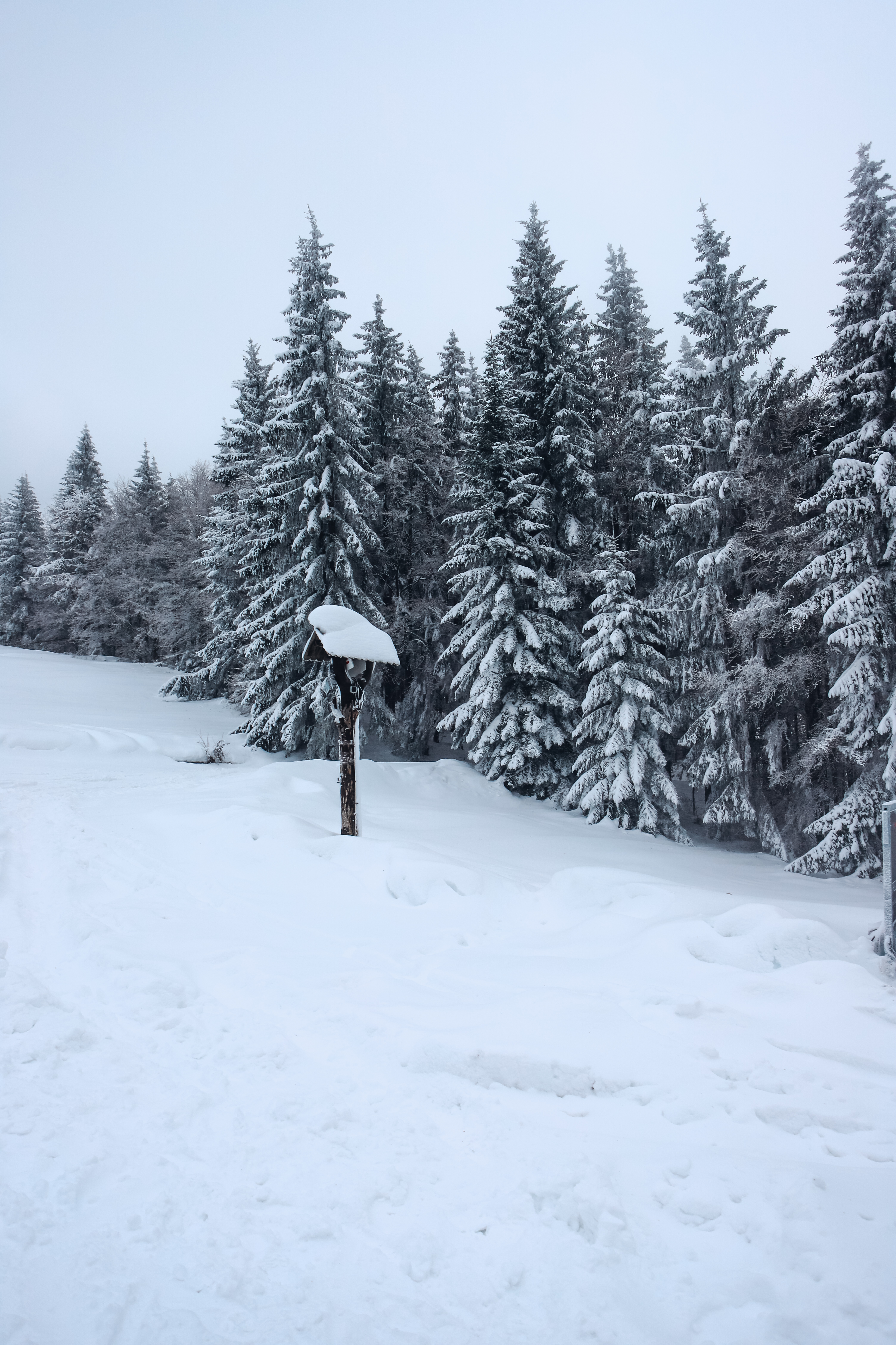 Chata pod Hrbom - 28